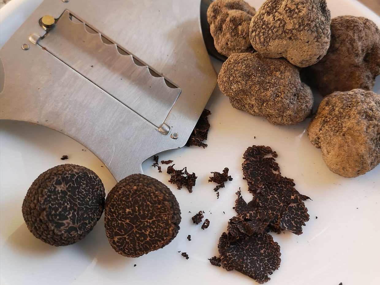 Cyprus Truffle Tour in Paphos, photo 4
