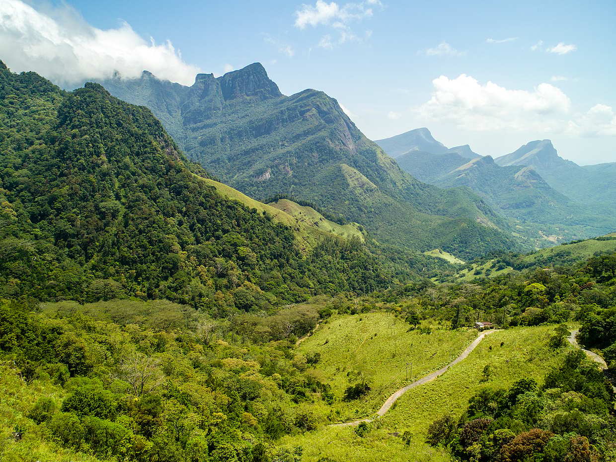 Private Trekking Tour to Knuckles Valley in Sri Lanka, Kandy