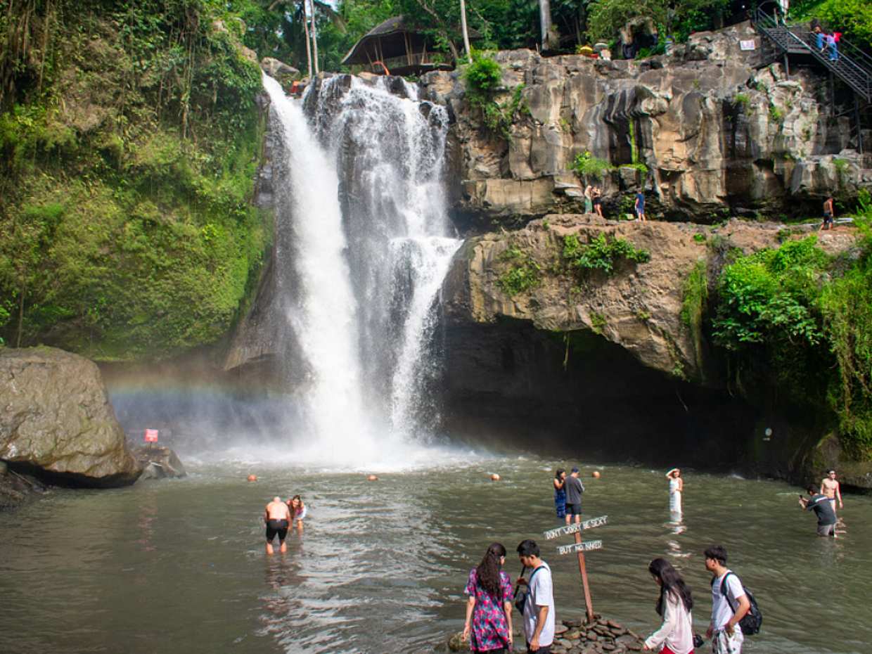 Bali: 1 Day Tour to Discover Waterfall - Sacred Temple - Coffee Plantation - Rice Terrace - Monkey Forest in Indonesia, photo 3