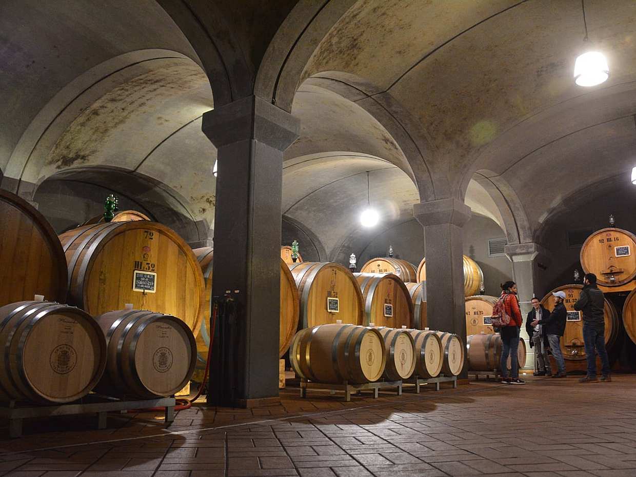 Exclusive Brunello di Montalcino from Florence in Italy, photo 5