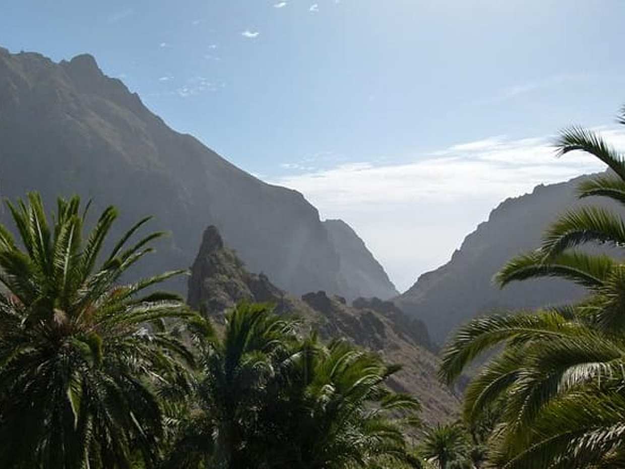 Tenerife Highlights Full-Day Tour, photo 2