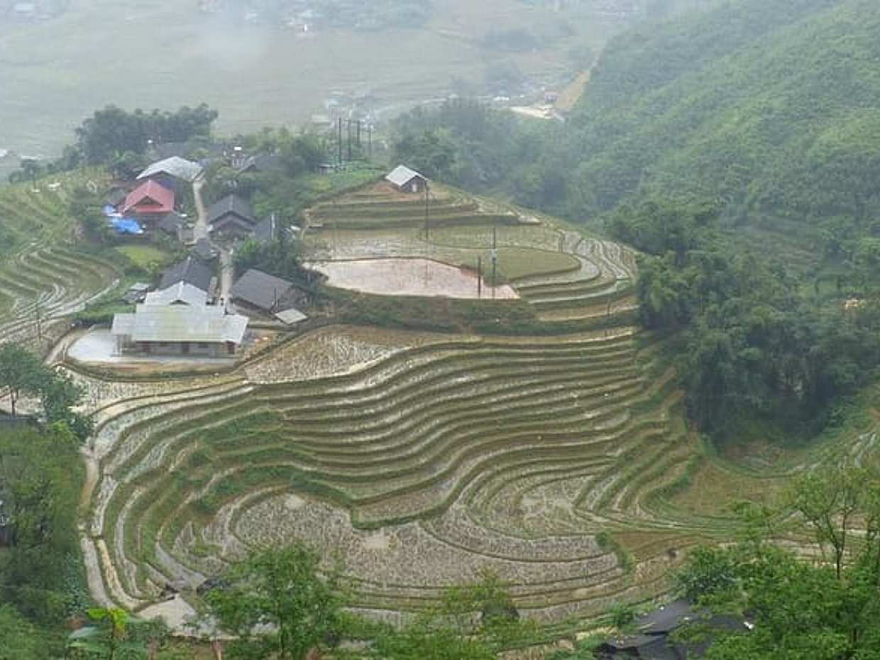 Sapa - Lao Chai -Ta Van full day trekking, photo 5