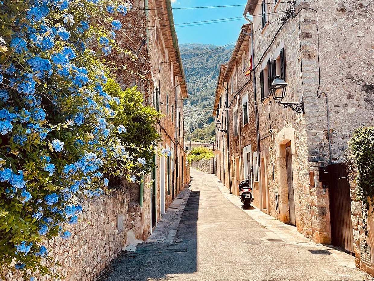 Private Trip to Soller