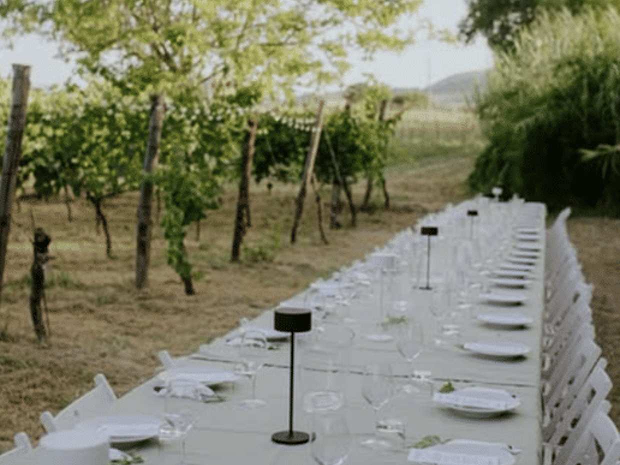 Marche Wines: Explore the Richness of Local Flavors, photo 4