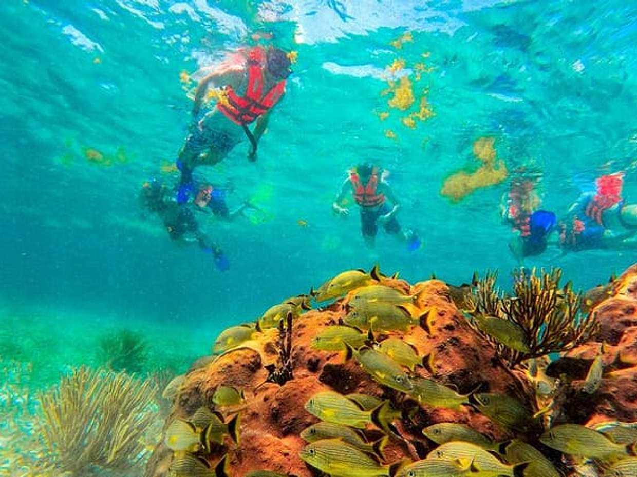Puerto Morelos Reef Snorkeling Adventure with beachside lunch  in Mexico, photo 4