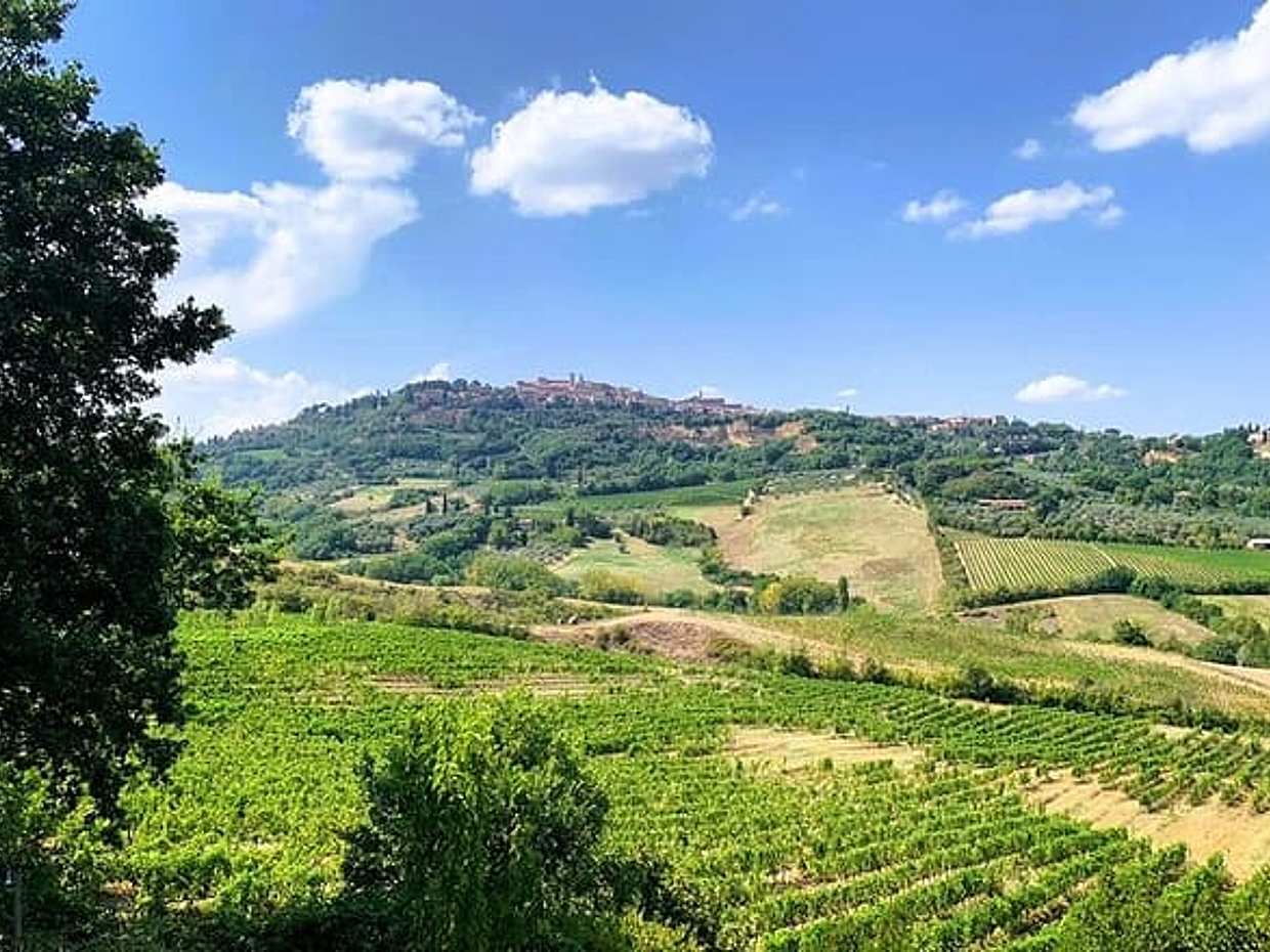 Rome to Montepulciano with Wine Tasting + Stop at Orvieto, photo 4