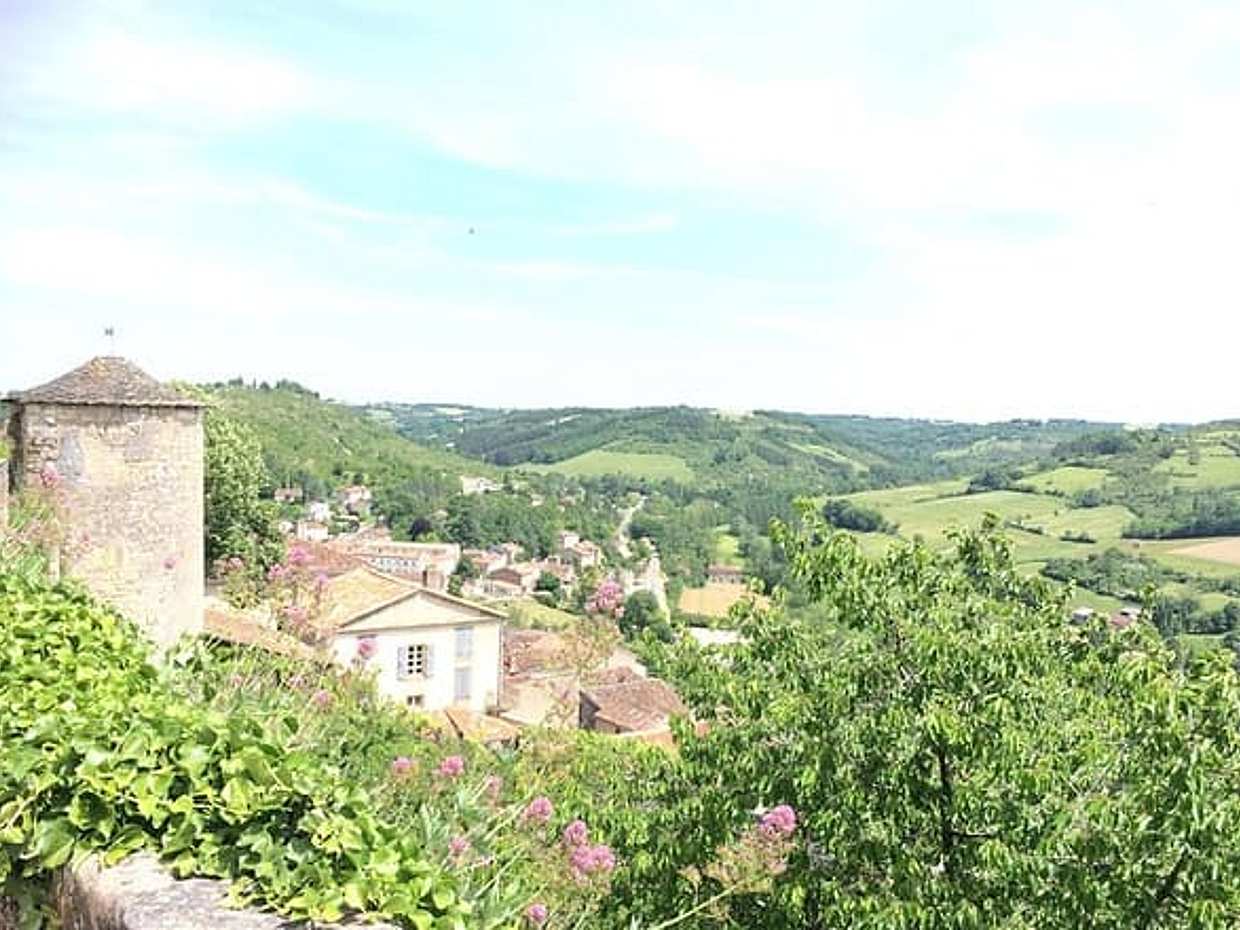 Albi and Cordes sur Ciel Private Day Tour from Toulouse, photo 3