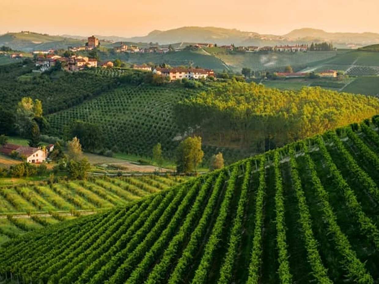 La Madama: A Journey through Piedmont's Tradition and Wines, photo 2