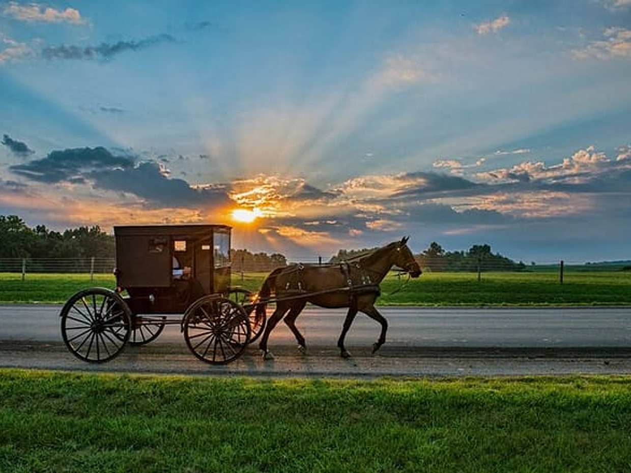 Excursion to Philadelphia and the Amish Region from New York
