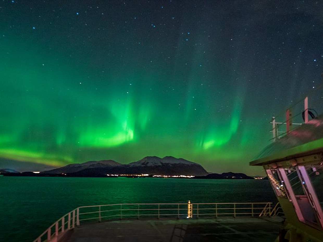 Reykjavík Whales & Northern Lights Tour, photo 2