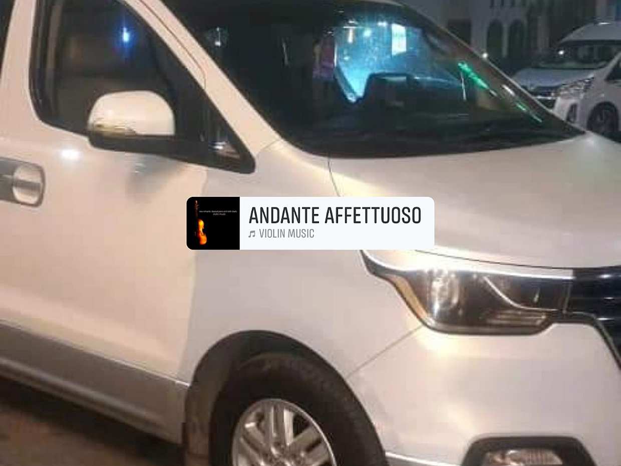 Private Airport Transfer in Cairo in Egypt, photo 4
