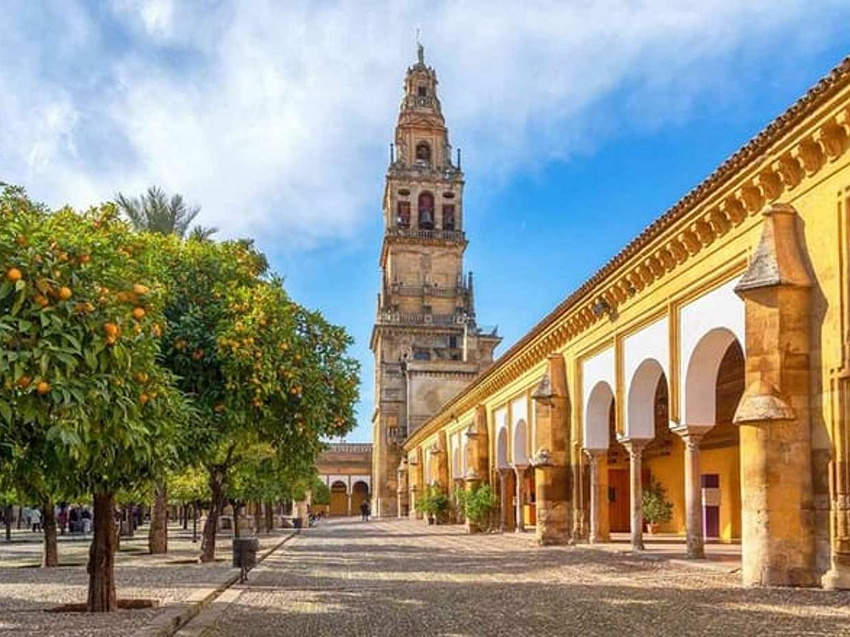 Exclusive Private Seville to Córdoba with Bull Ranch Experience