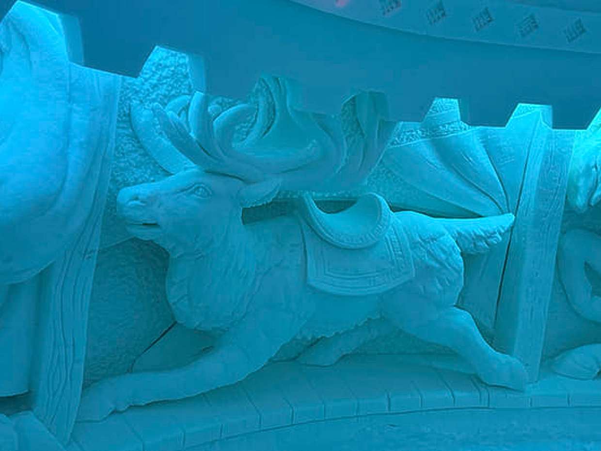 Lainio Snow Village Tour from Levi — Guided Visit, photo 4