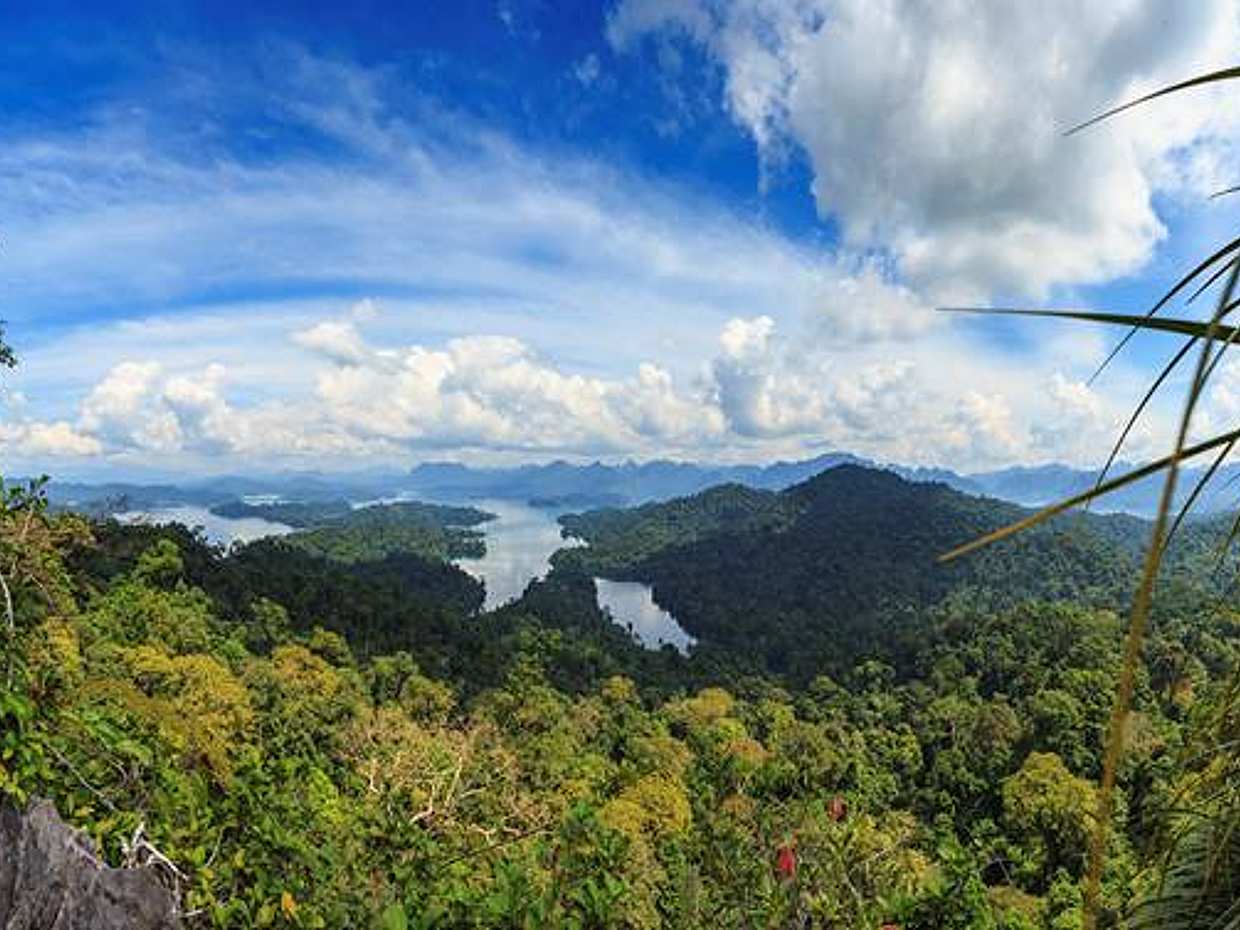 Phuket: Bamboo Rafting, Elephant Trekking with 30-minute ATV Riding in Thailand, photo 5