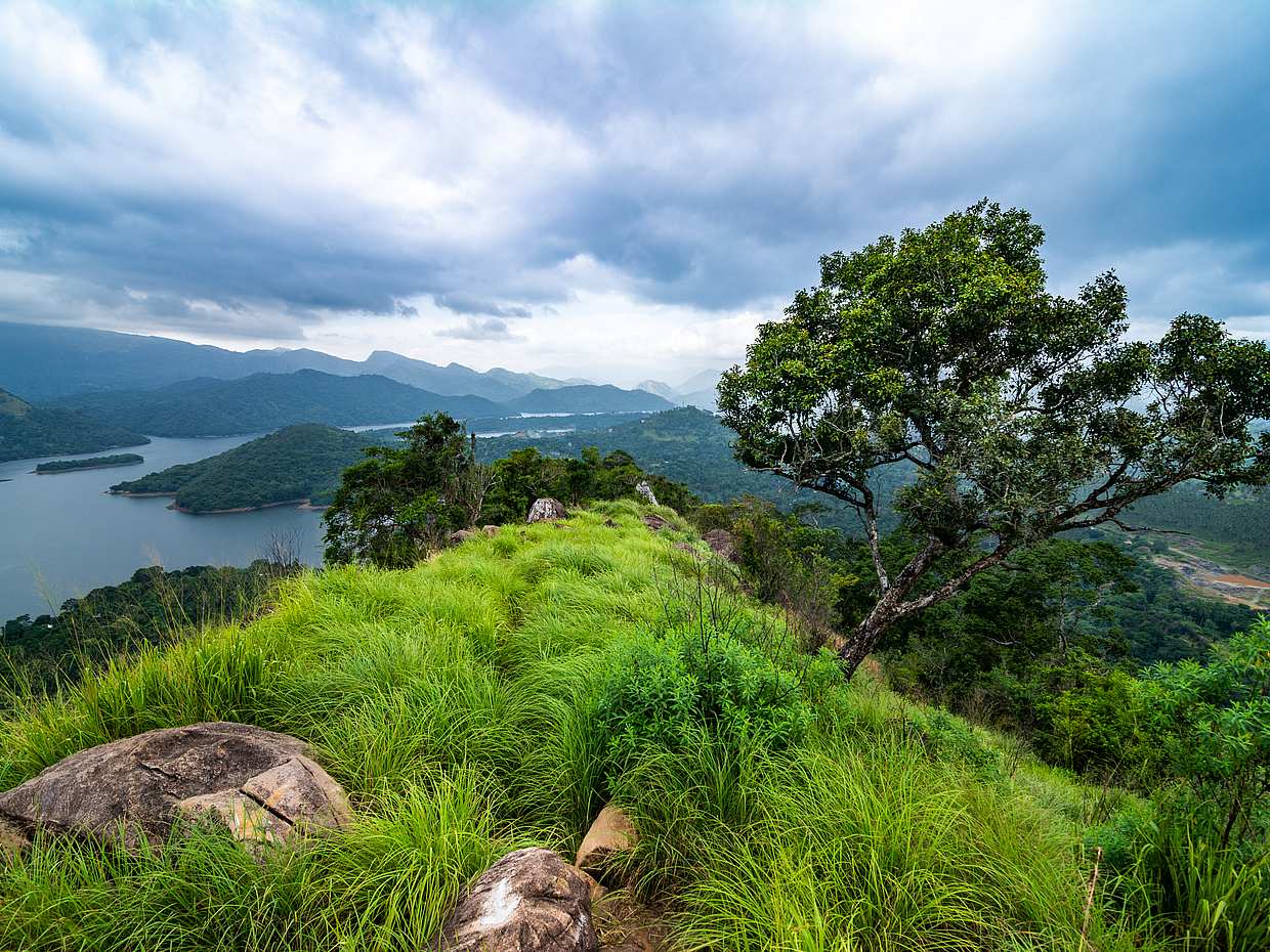 Private Trekking Tour to Knuckles Valley in Sri Lanka, Kandy, photo 2