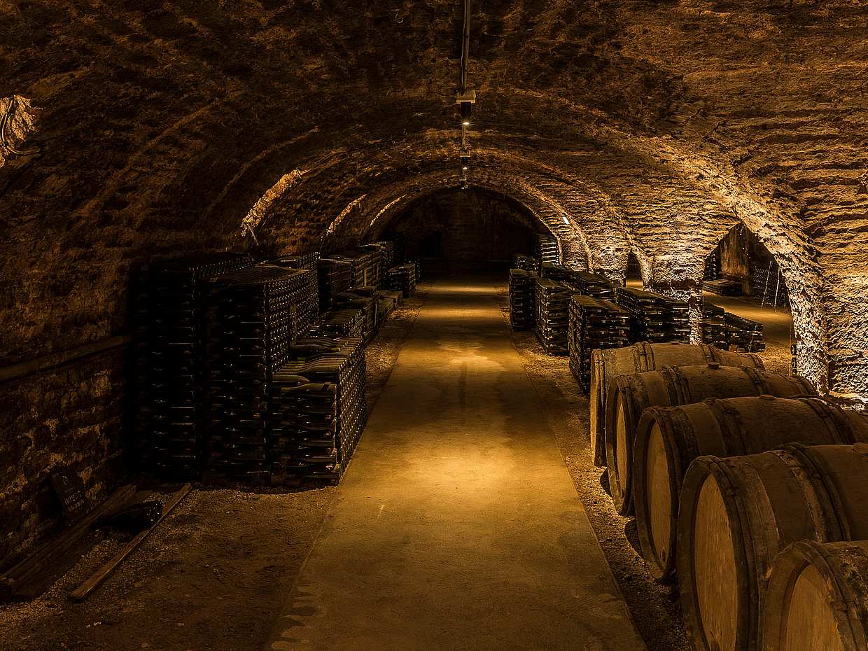 Tour Privado e Prova de Vinhos em Vinícolas de Castelos em Chianti saindo de Florença, na Itália., photo 5