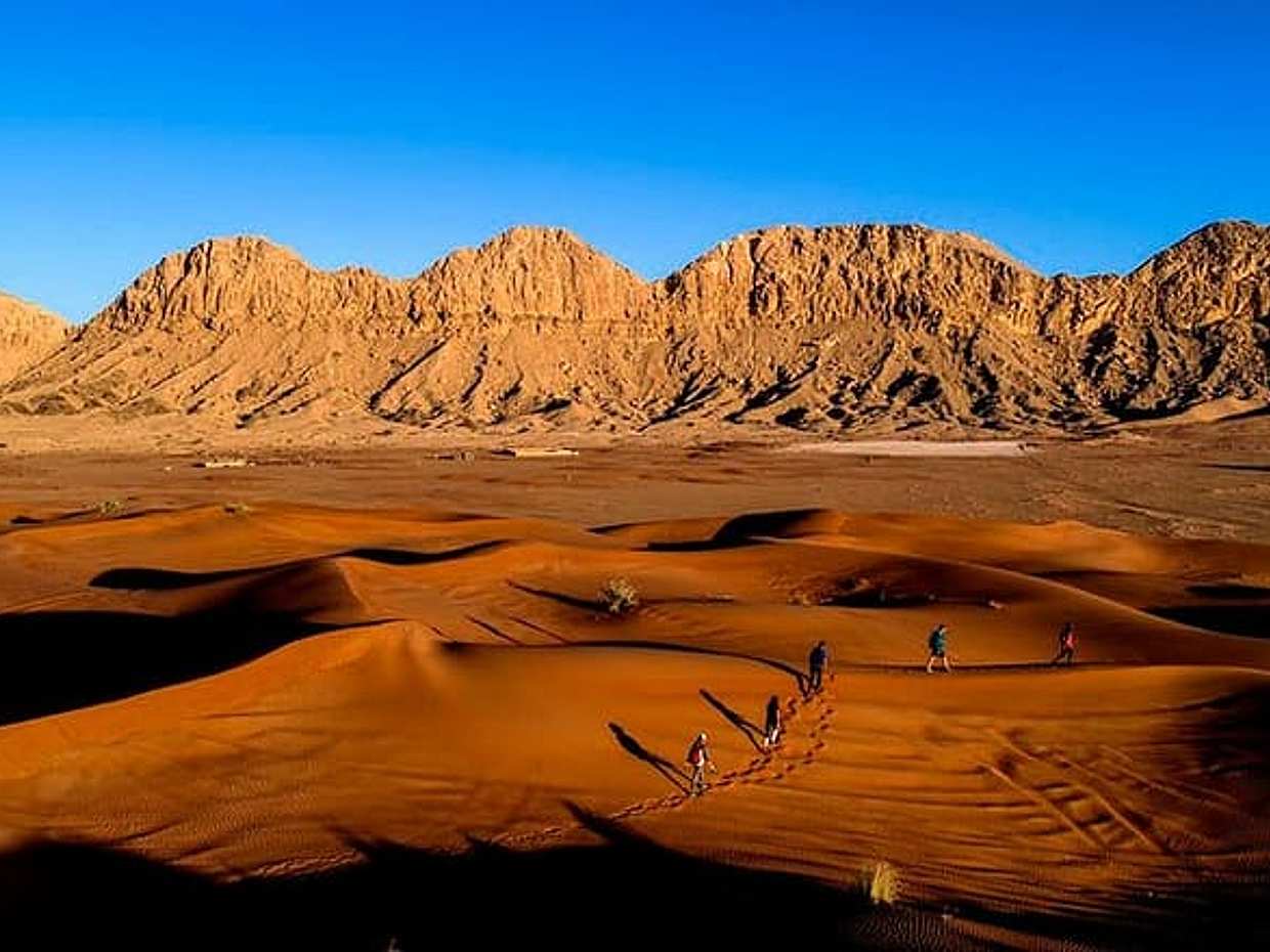 Morning Desert Safari with Honey Bee Garden in United Arab Emirates, Dubai, photo 2