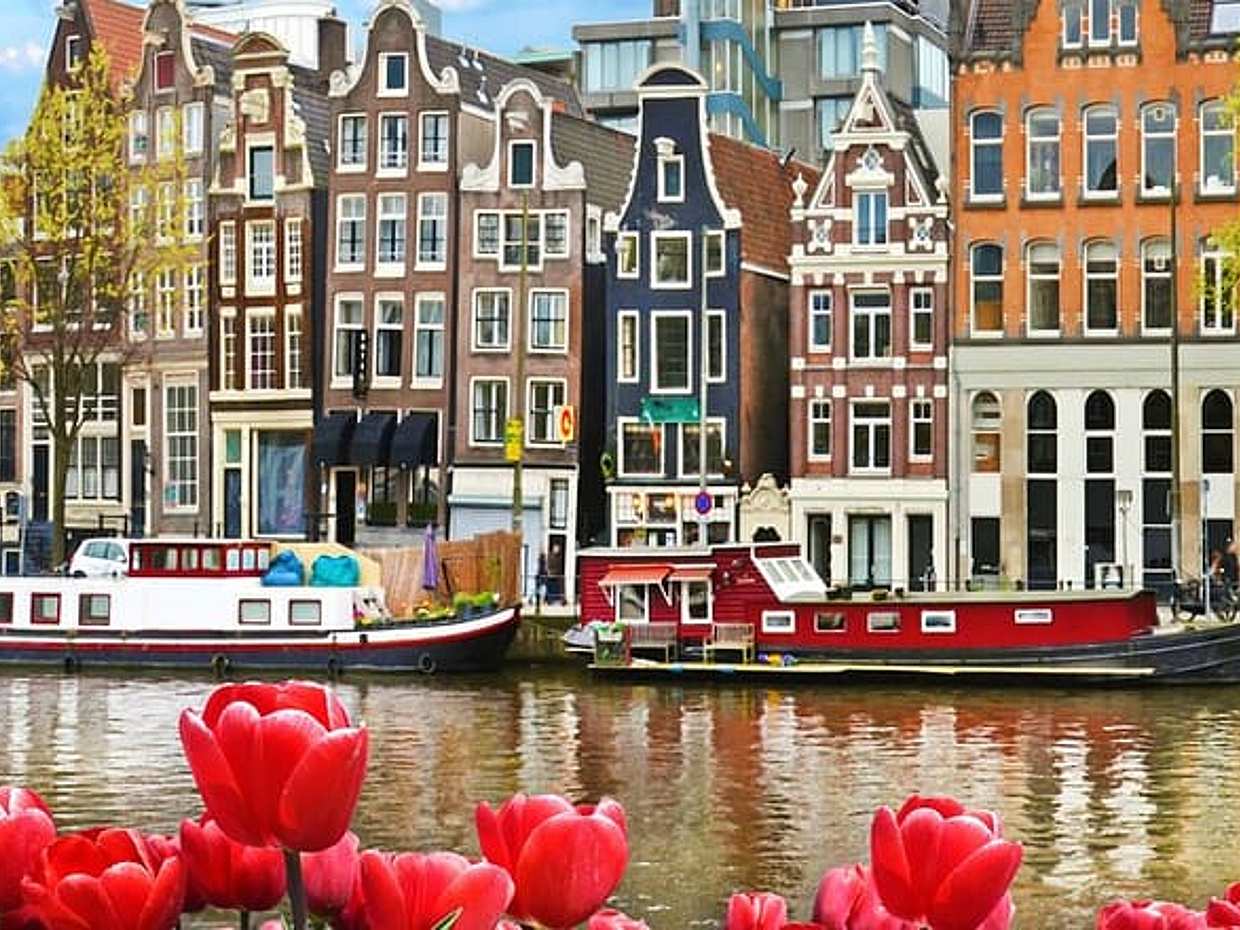 Private direct transfer from Bruges to Amsterdam in Belgium, photo 3