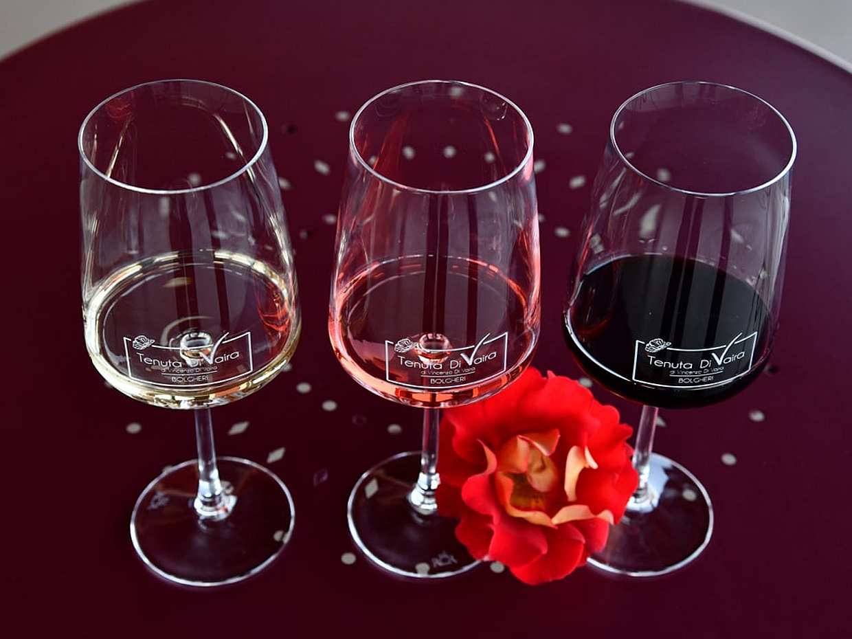 Exclusive Bolgheri from Florence: The Land of the Super Tuscan, Italy, photo 5