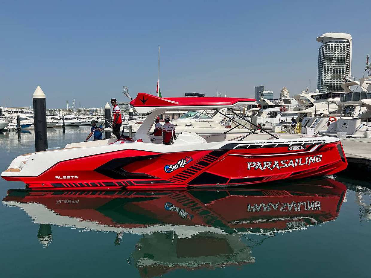 Dubai'de Muz Gezintisi, photo 3