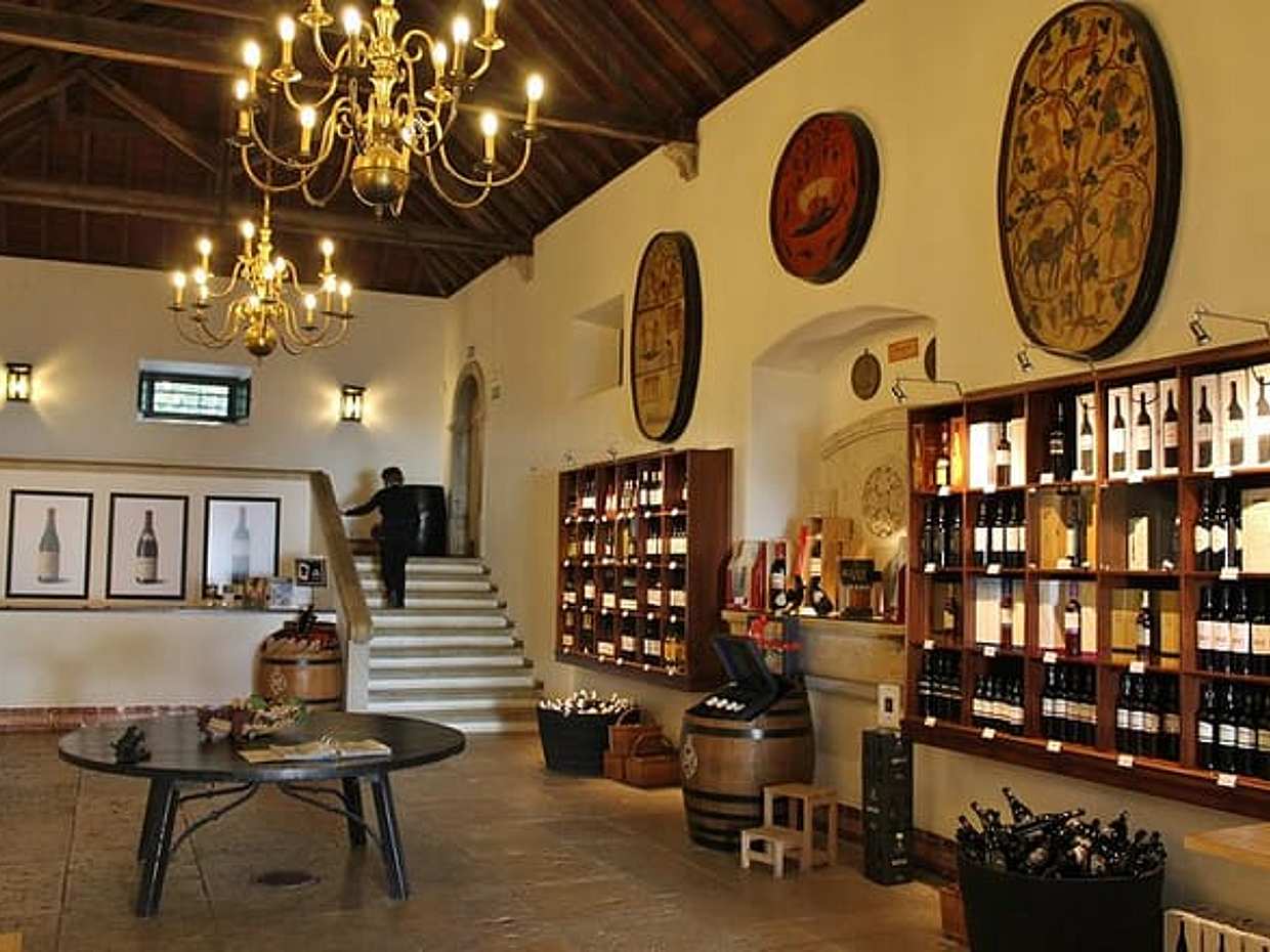 Descubra os Vinhos de Setúbal: Uma Aventura de Vinhos Privada de Lisboa em Portugal, photo 4