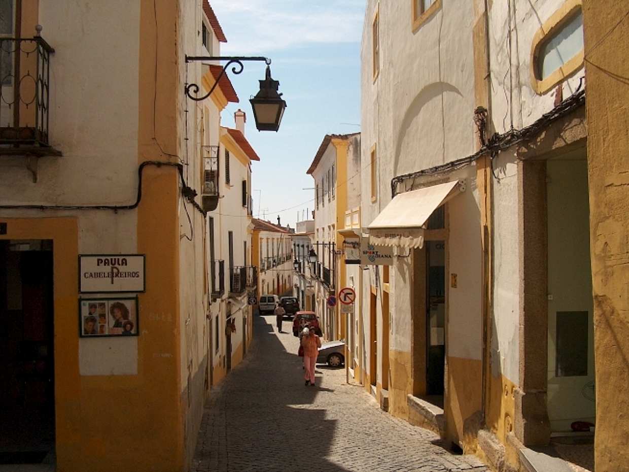 Evora Highlights Walking Tour in Portugal