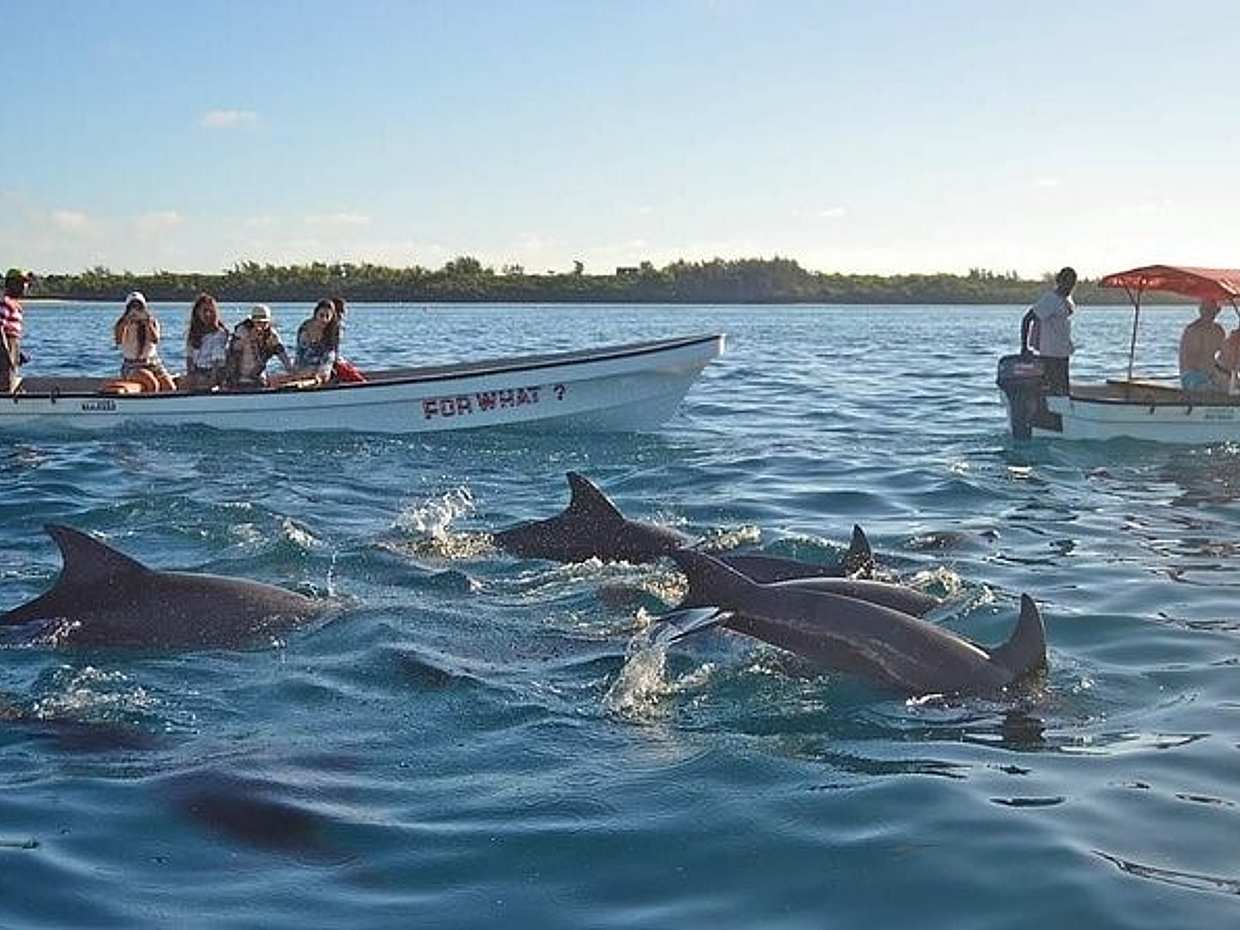 Schnorcheln am Mnemba Atoll in Tansania, Sansibar.
, photo 2