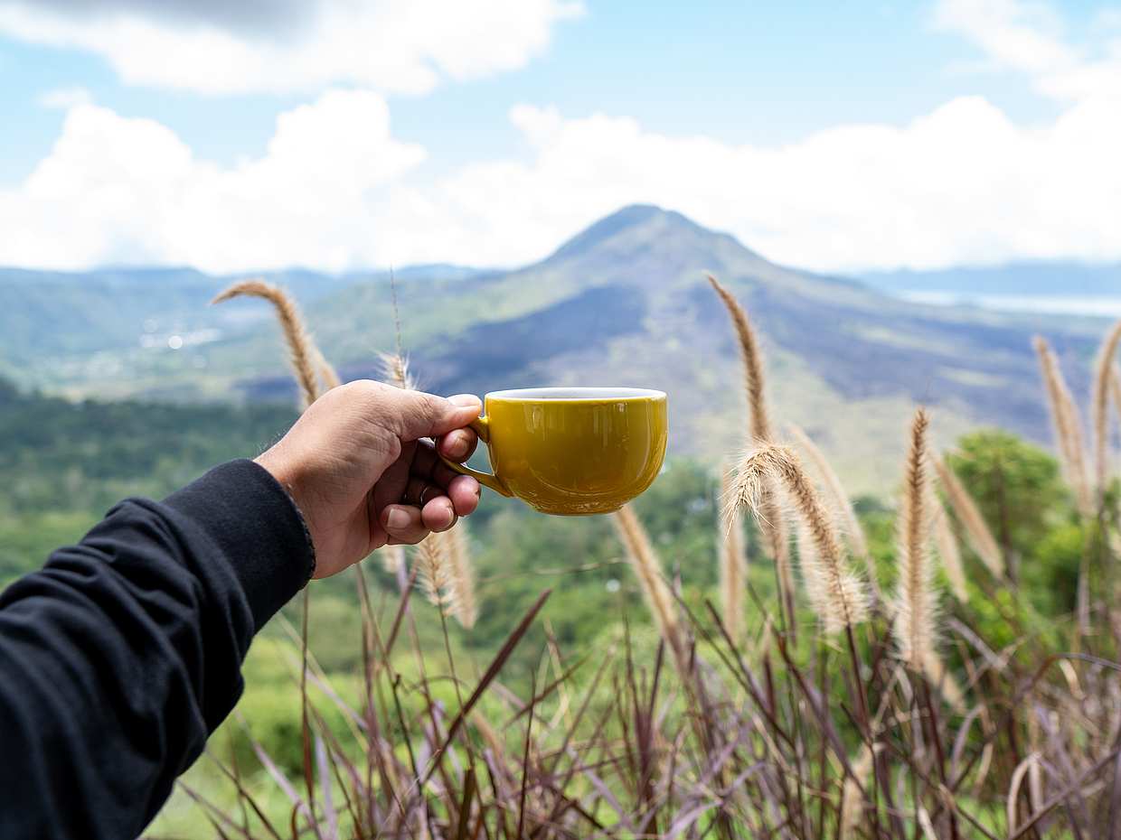 Batur Volcano Sunrise Trekking and Hot Spring Tour with Photographer, photo 3