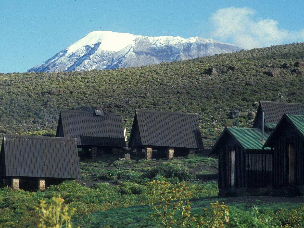 Kilimanjaro Day Hike в Танзании, Моши.
, photo 3