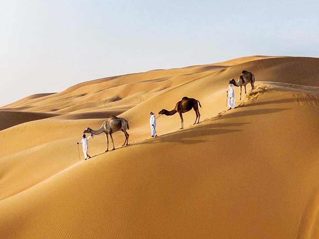 Safari privé matinal dans le désert et sandboard aux Émirats arabes unis, Dubaï, photo 4
