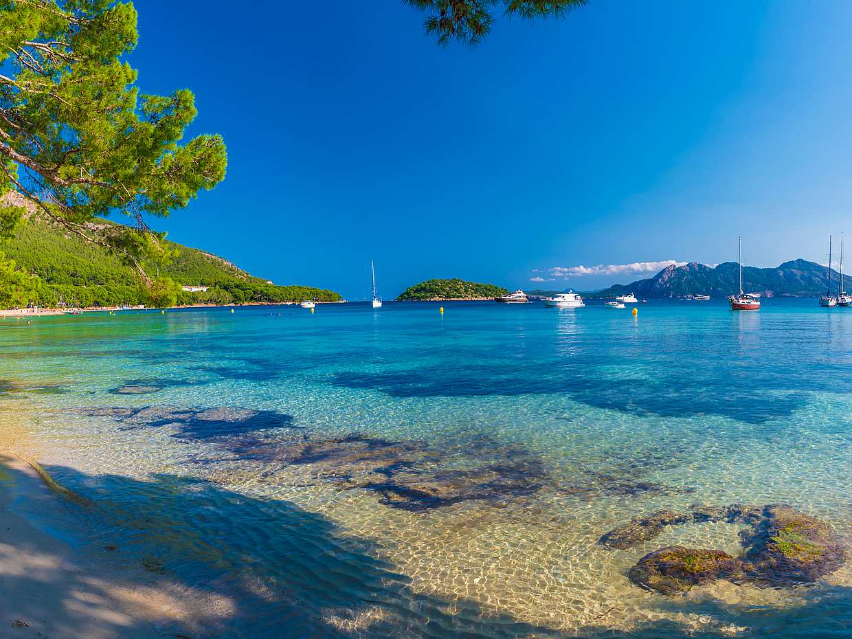 Half-day Private Sailing Tour in Palma de Mallorca