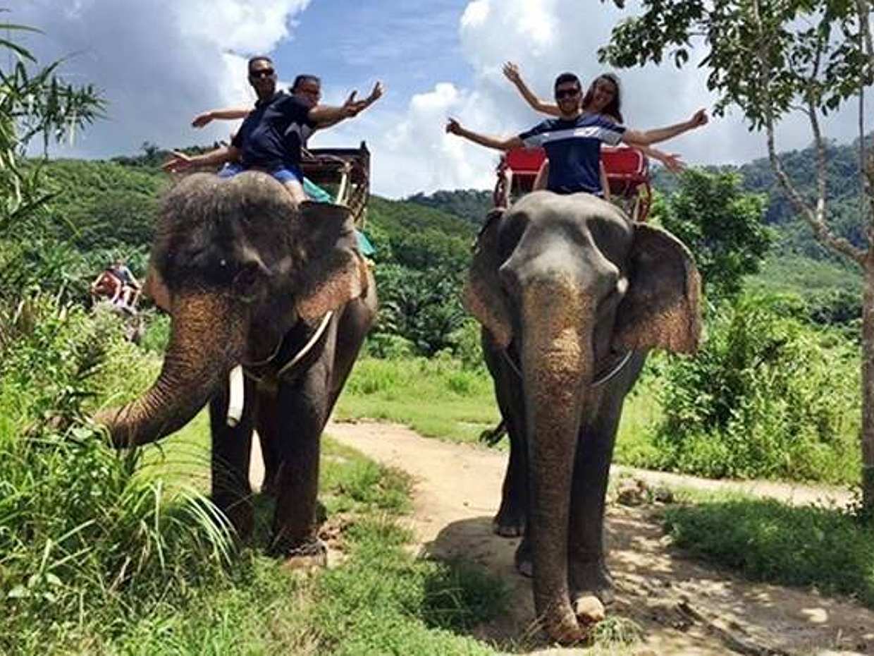 Phuket: 5 km Wildwasser-Rafting, Zipline und Elefantenreiten in Thailand
