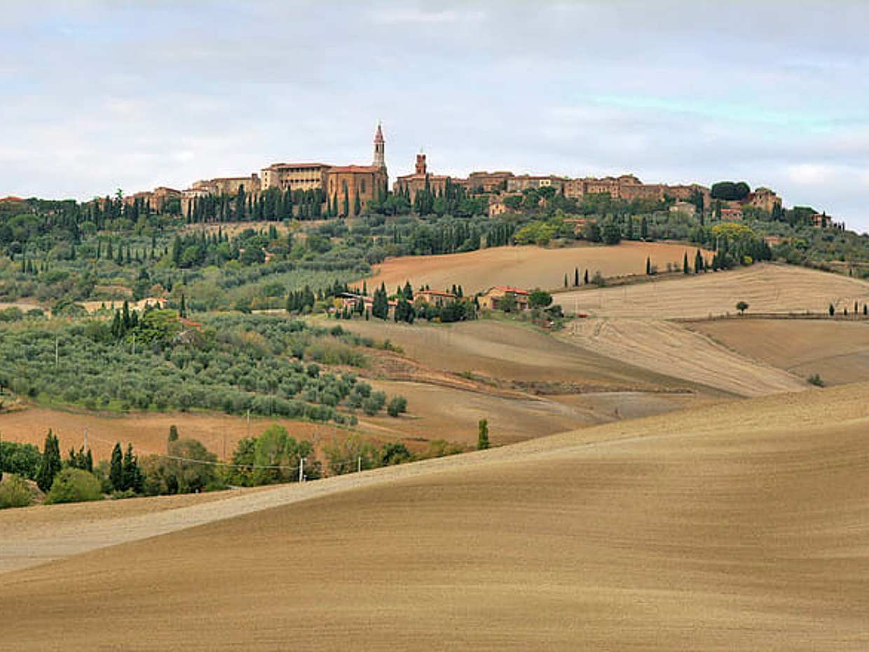 Private Tour - A Day in the Enchanting Val D'Orcia with Wine Tasting, photo 5