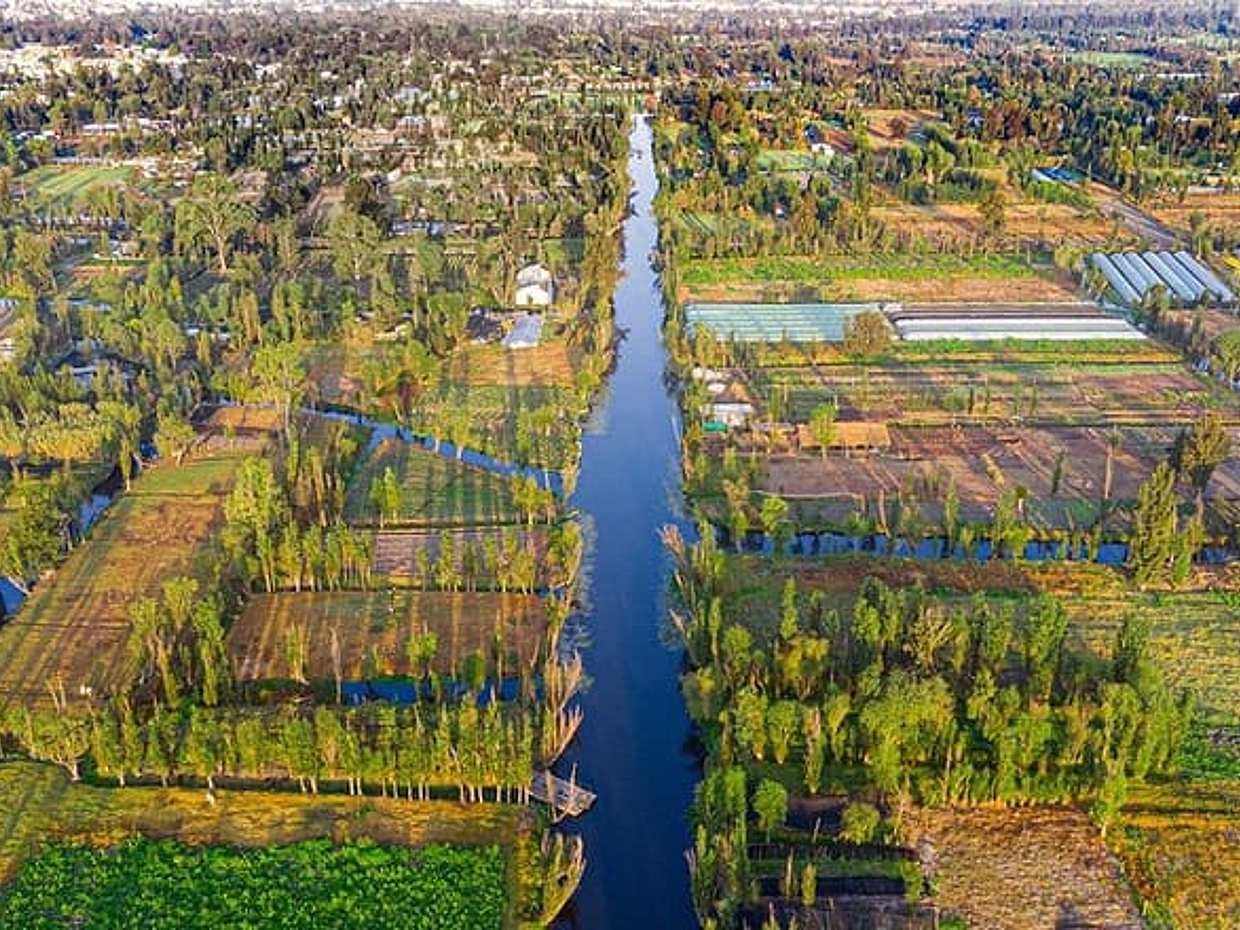 Ксочимилько, Койоакан и Музей Фриды Кало: Тур по Мехико, photo 2