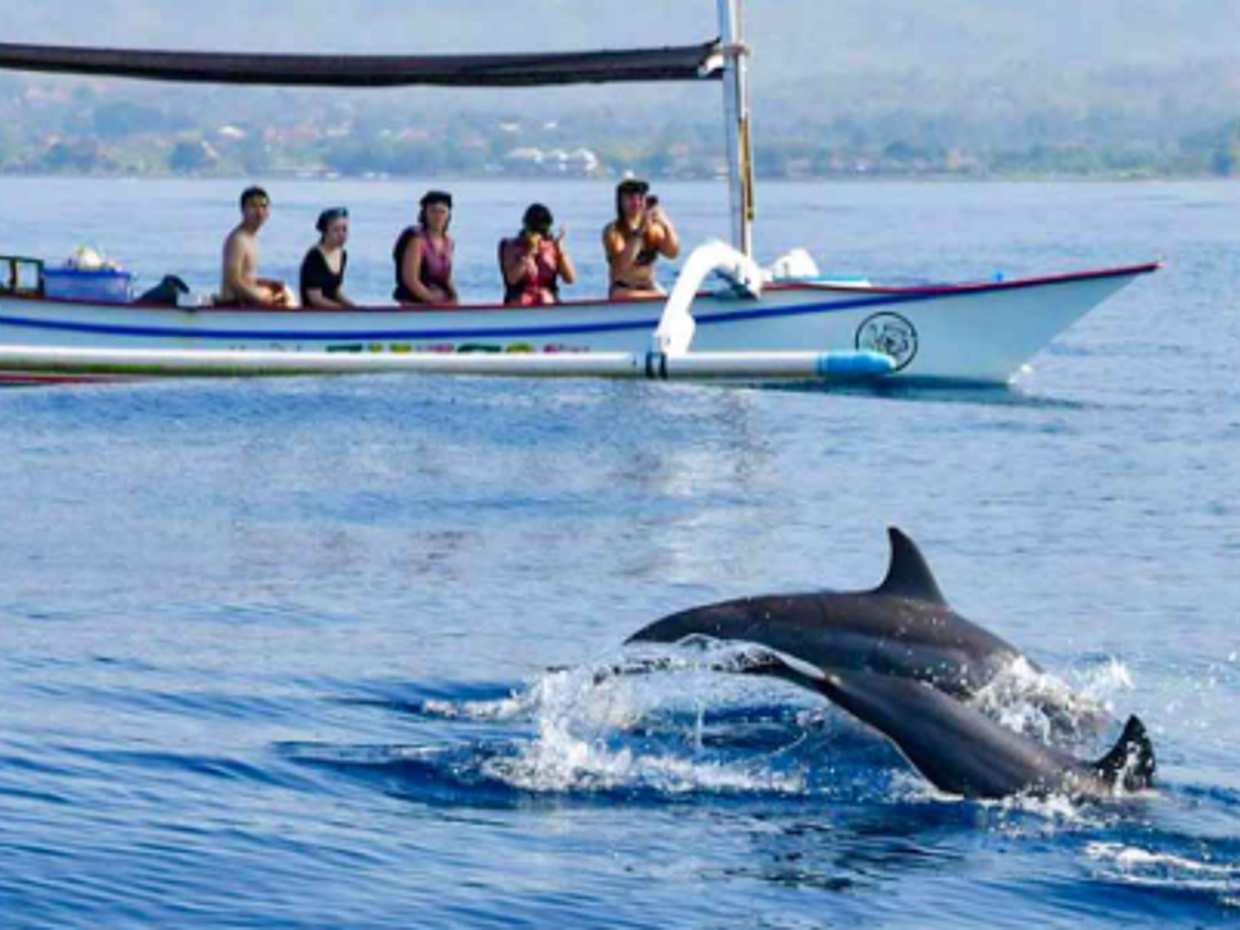 Lovina Dolphin Sunrise Tour in Indonesia, Bali, photo 4