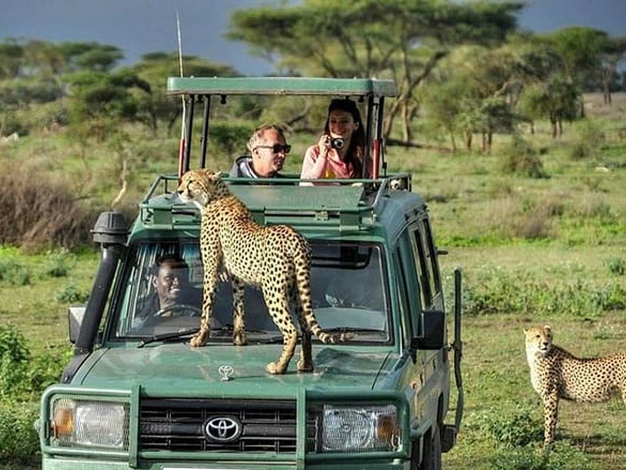 8 Days Masai Mara Wildebeest Migration Safari Adventures, photo 5
