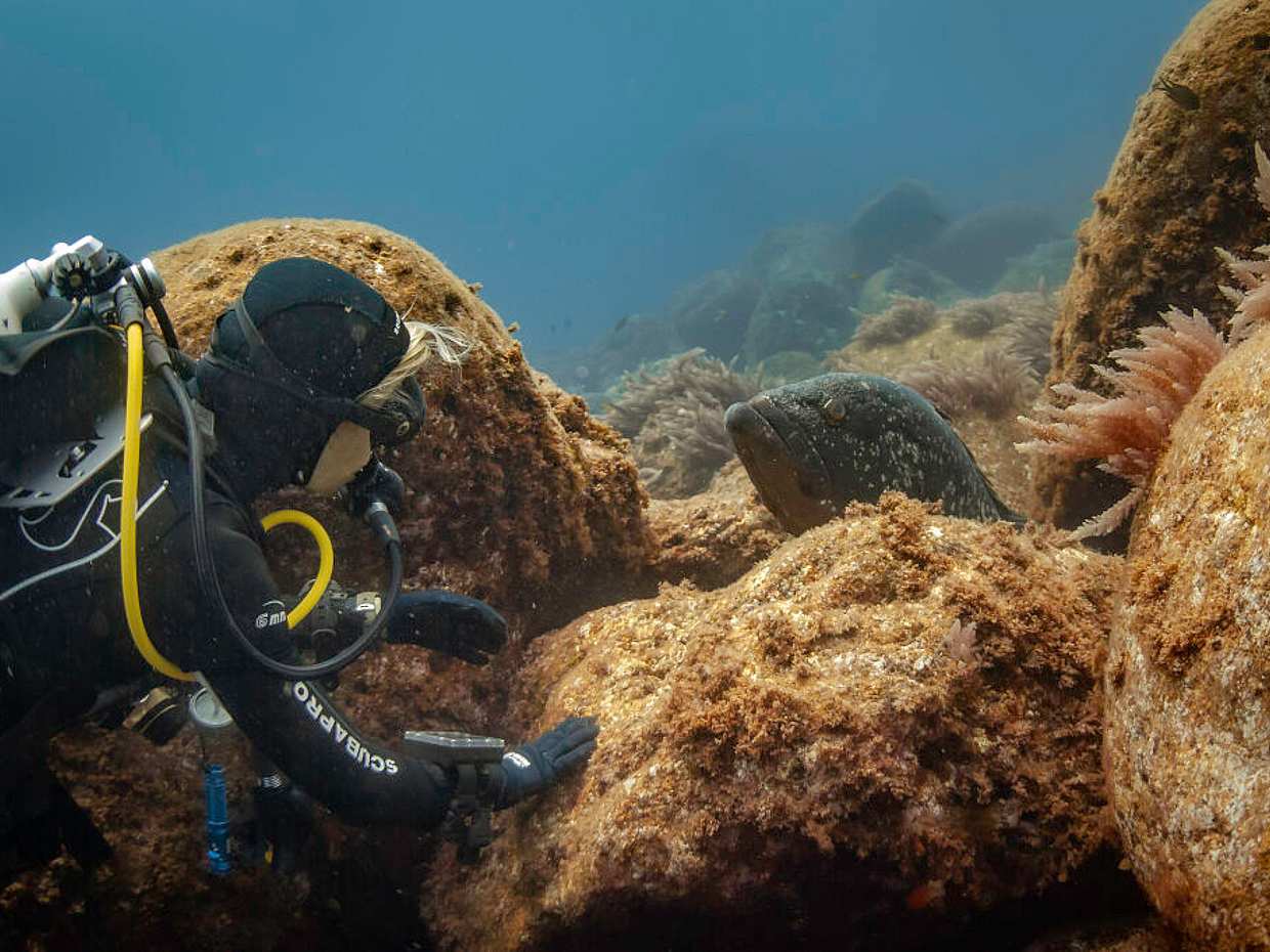 Açores: Mergulho na Ilha do Pico em Portugal.
