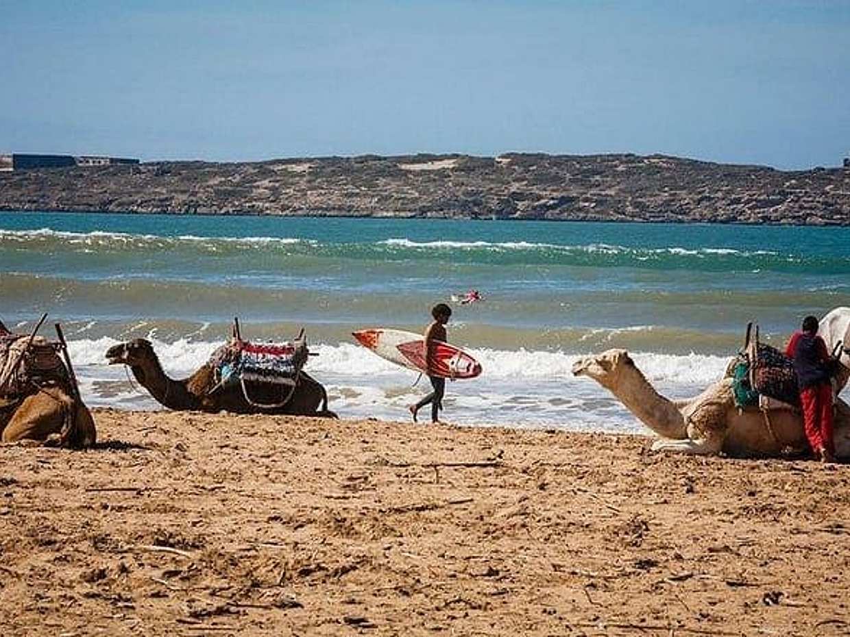 Private day trip from Marrakech to Essaouira, photo 2
