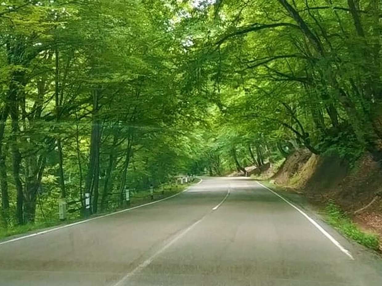 Tusheti Mountain Adventure: 3 dny Jeep Tour & příroda v Gruzii, Tbilisi, photo 3