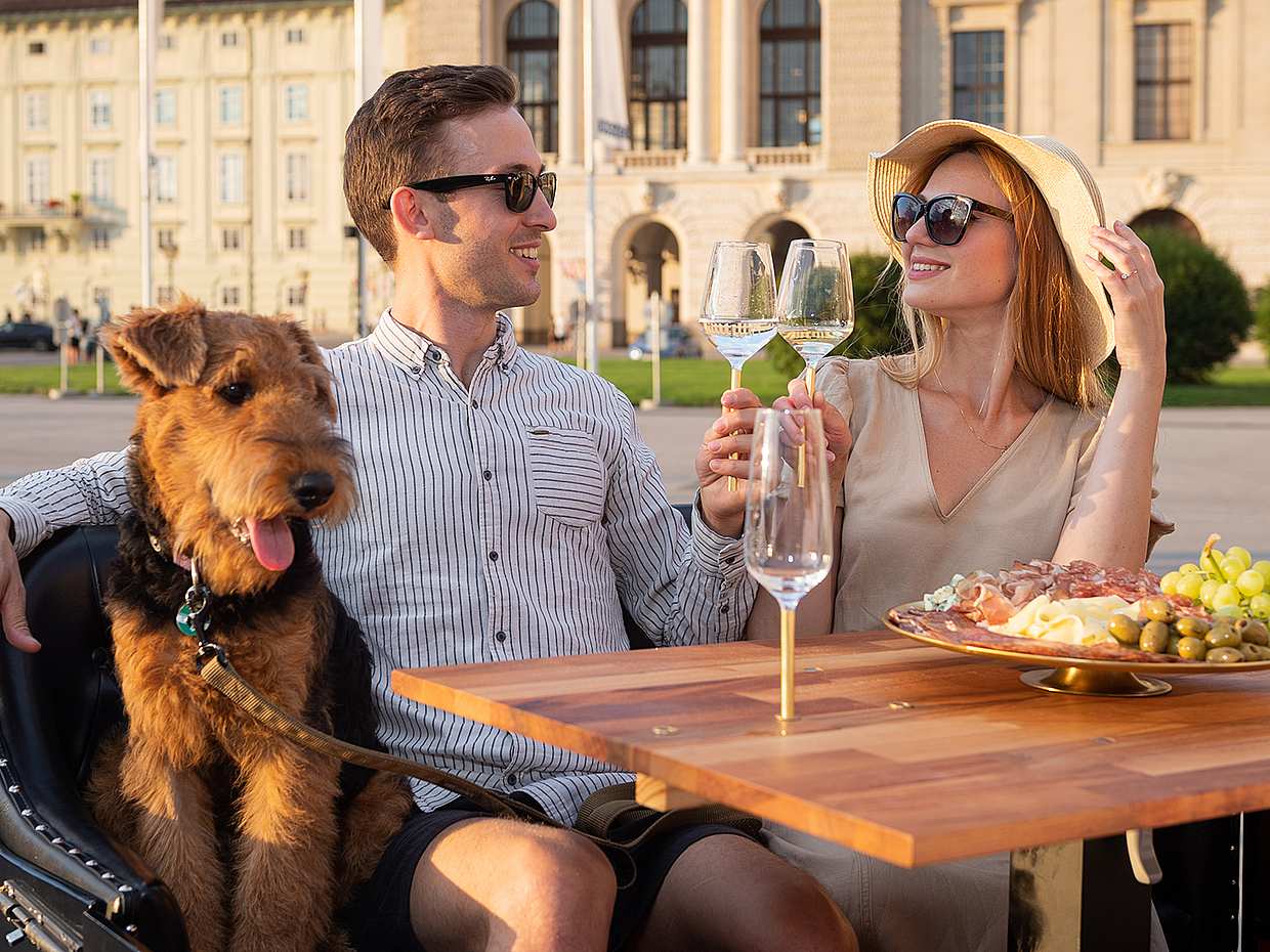 Wien Weinprobe-Erlebnis in einem klassischen Oldtimer in Österreich