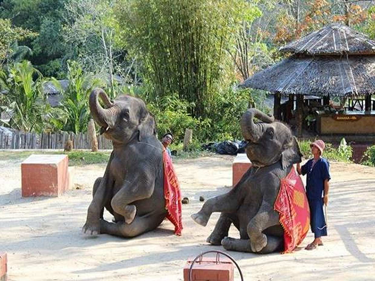 Phuket: 5 km Wildwasser-Rafting, Zipline und Elefantenreiten in Thailand
, photo 5