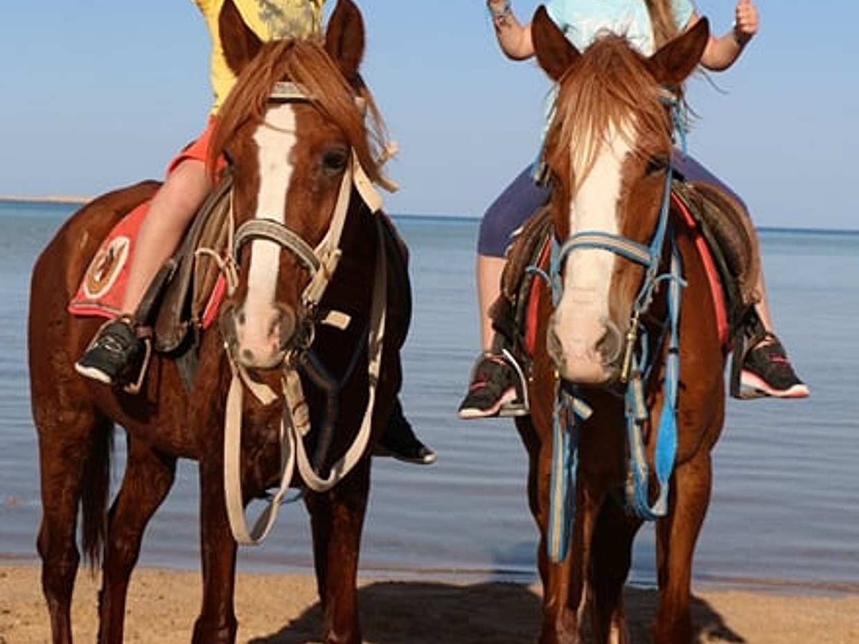 "Avventura a cavallo, deserto e Mar Rosso a Hurghada in Egitto", photo 5