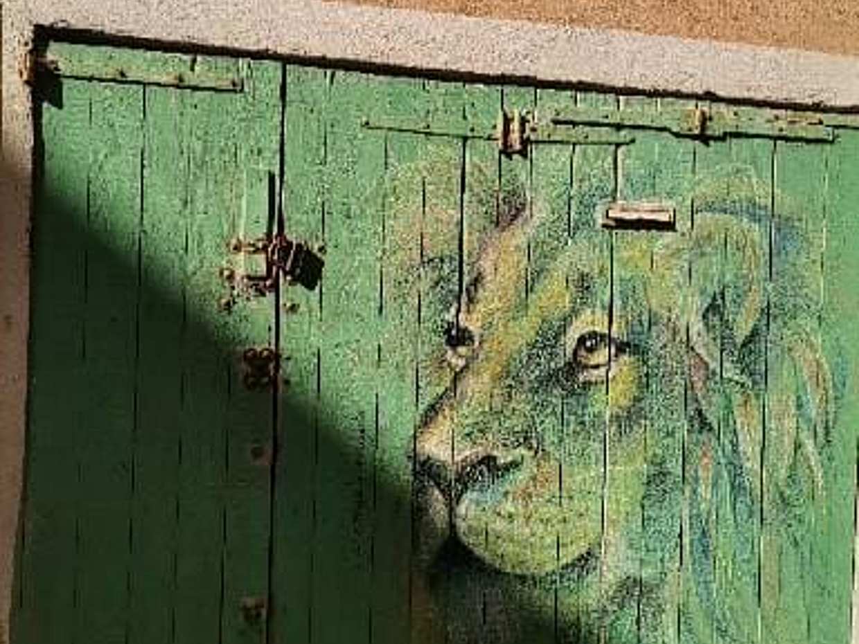 Le Panier: Walking tour at the Marseille's oldest neighbourhood, photo 2
