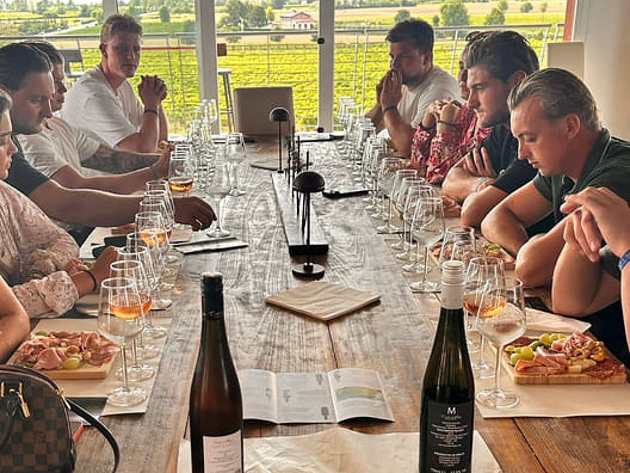Tasting of 6 wines with vineyard and cellar tour in Lazise, photo 3