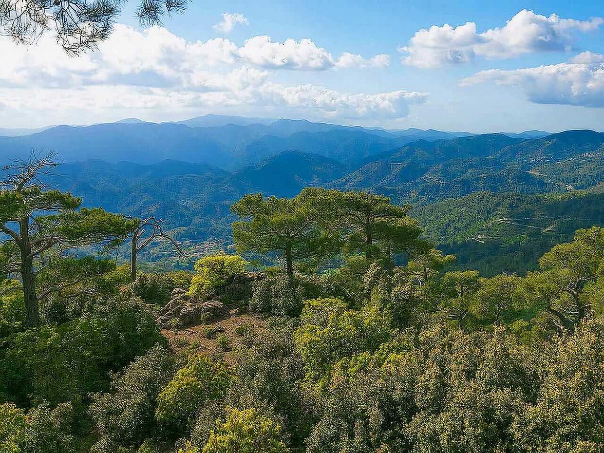 Private Troodos Mountains, Waterfall & Wine Tour from Limasool in Cyprus, Limassol Troodos Mountains Tour, photo 5