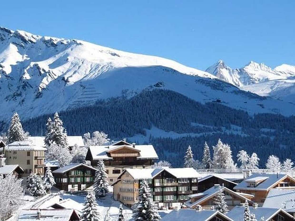 Bakuriani ski resort and the legendary Borjomi (Group Tour), photo 3