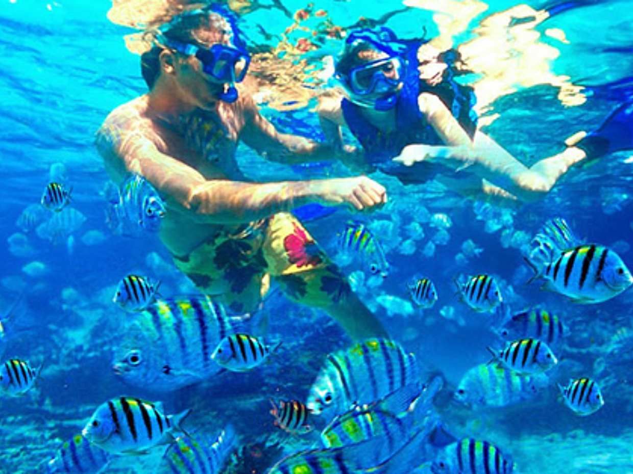Bali: Padangbai Blue Lagoon Snorkeling with Local Guide in Indonesia, photo 2