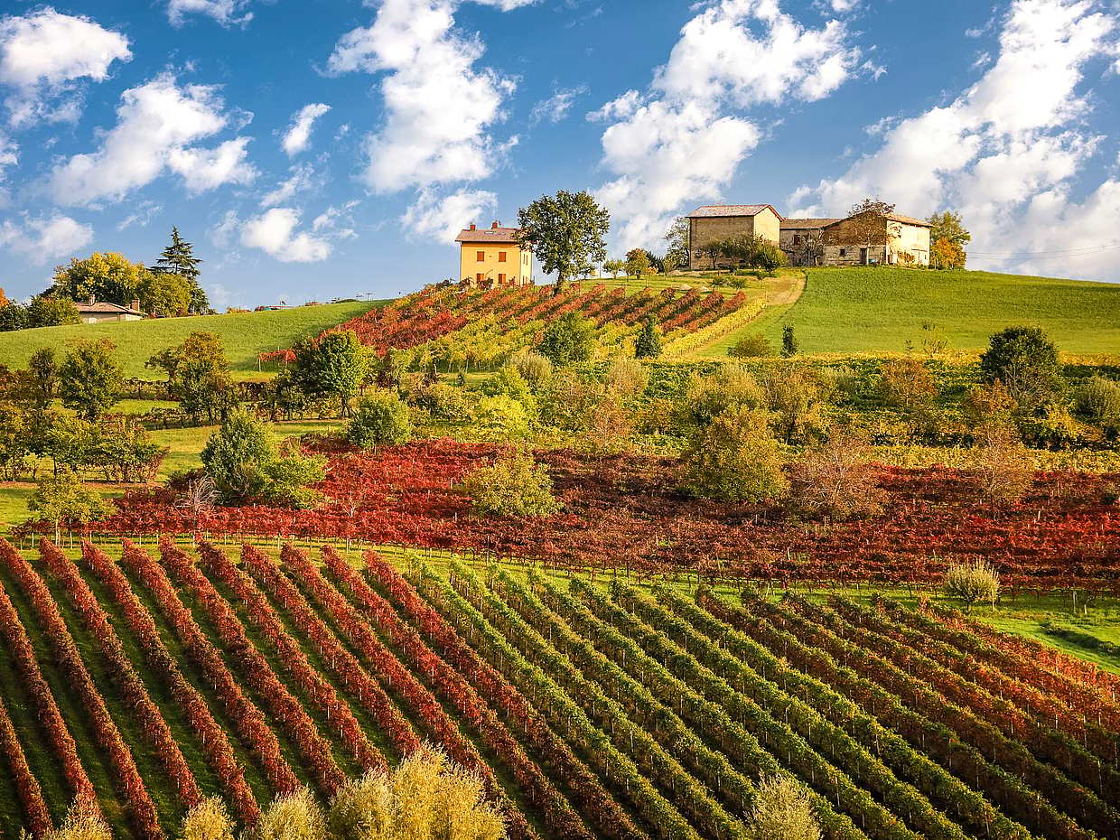 Il gusto dell'Emilia-Romagna: Parmigiano, prosciutto e aceto balsamico di Modena, photo 4