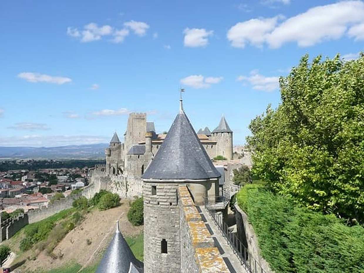 Day tour : Cité de Carcassonne and wine tasting. private tour from Carcassonne.
