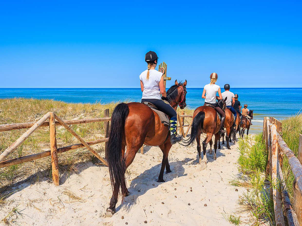 Horses in the Sand Tour